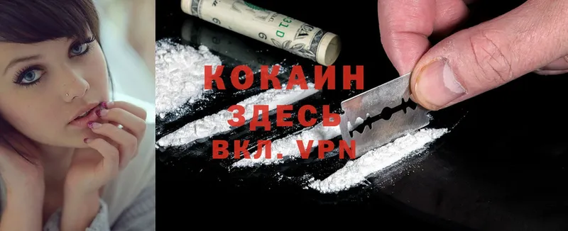 Cocaine Fish Scale  Железноводск 